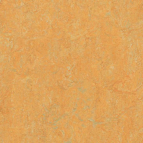  Forbo Marmoleum Marbled Real 3847 Golden Saffron - 2.5 (фото 2)