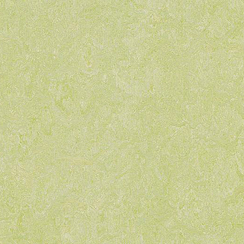  Forbo Marmoleum Marbled Real 3881 Green Wellness - 2.0 (фото 2)
