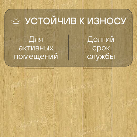Norland Elegant Strong 12 4V 34 (CH) LF302-08 Дуб Элмер (фото 3)