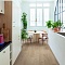 QS Alpha Vinyl BLOS BASE планка AVSPT 40322 Дуб береговой песчаный (миниатюра фото 11)