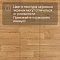 Premium Falco 2_1159 (миниатюра фото 17)