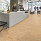  Forbo Marmoleum Marbled Real 3075 Shell - 2.0 (миниатюра фото 1)