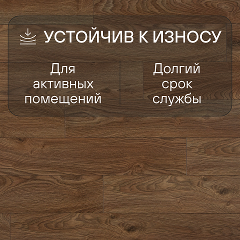Impression/Впечатление 4V WR 56581 Дуб Альтеа (фото 6)