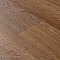 Premium Falco 4_3459 (миниатюра фото 8)