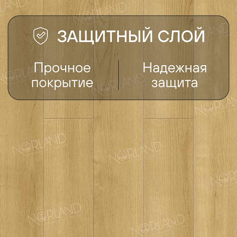 Norland Elegant Strong 12 4V 34 (CH) LF302-06 Дуб Лузон (фото 2)