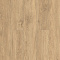 SPC Ламинат Alpine Floor SPC Grand Sequoia ЕСО 11-6 Миндаль 4V 43кл (миниатюра фото 1)