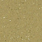 Линолеум Forbo Sphera Elite 50491 citrine - 2.0 (миниатюра фото 1)